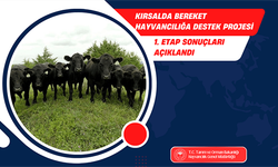 BİLECİK’TE KIRSALDA BEREKET HAYVANCILIĞA DESTEK PROJESİNDE HAK SAHİPLERİ BELİRLENDİ