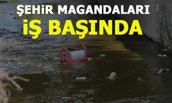ŞEHİR MAGANDALARI İŞ BAŞINDA