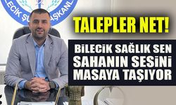 TALEPLER NET!  BİLECİK SAĞLIK SEN, SAHANIN SESİNİ MASAYA TAŞIYOR