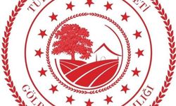 GÖLPAZARI YANGINI SONRASI HASAR TESPİT LİSTELERİ AÇIKLANDI