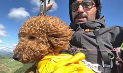 TOBY İSİMLİ KÖPEK PARAŞÜTLE ATLAYIP 330 METREDE UÇUŞ DENEYİMİ YAŞADI