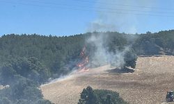 EKİPLERİN ORMAN YANGINIYLA MÜCADELESİ SÜRÜYOR