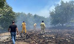 SEYİTGAZİ'DE ORMAN YANGININA EKİPLERİN MÜDAHALESİ BAŞLADI