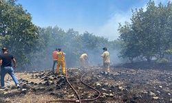Seyitgazi'deki orman yangını kontrol altına alındı