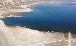 Porsuk Çayı'nda balık ölümleri iddialarına yalanlama