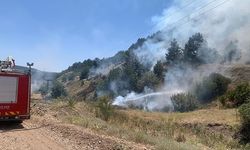 ORMAN YANGINI ERKEN MÜDAHALEYLE SÖNDÜRÜLDÜ