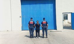 12 YIL HAPİS CEZASI BULUNAN ŞAHIS JANDARMA TARAFINDAN YAKALANDI