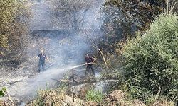 Taşınburnu mevkiindeki orman yangında soğutma çalışmaları sona erdi