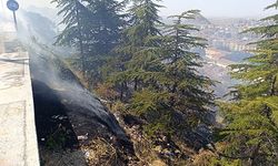 AĞAÇLIK ALANDAKİ YANGIN PANİĞE NEDEN OLDU