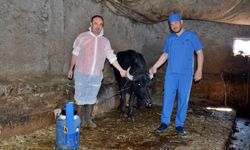 Manda ıslahı projesi uygulamaya geçti