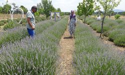 Hobiyle başladılar, geçim kaynağına dönüştü