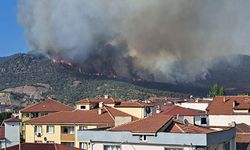 Alevler YHT besleme trafosuna yaklaşınca tedbir alındı