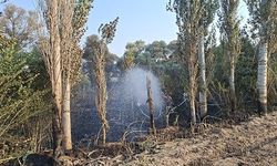 8 dönüm arazi ve 180 balya saman küle döndü