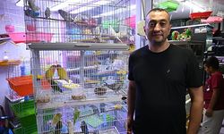 Yaz sıcaklarında evlerde balık ve kuş bakımı