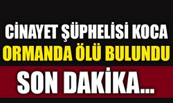 CİNAYET ŞÜPHELİSİ KOCA ORMANDA ÖLÜ BULUNDU!
