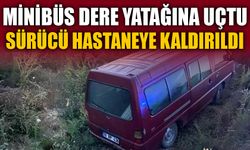 MİNÜBÜS DERE YATAĞINA UÇTU, SÜRÜCÜ HASTANEYE KALDIRILDI