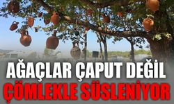 AĞAÇLAR ÇAPUT DEĞİL ÇÖMLEKLE SÜSLENİYOR