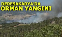 DERESAKARYA'DA ORMAN YANGINI