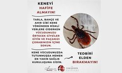VALİLİKTEN KENE UYARISI
