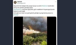 Meclis üyesinin "Hükümet bilinçli yakıyor" paylaşımına gözaltı