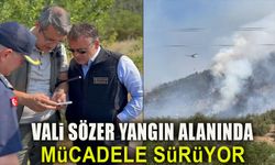 VALİ SÖZER YANGIN ALANINDA, MÜCADELE SÜRÜYOR