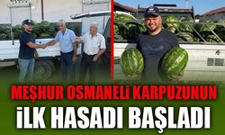 MEŞHUR OSMANELİ KARPUZUNUN İLK HASADI BAŞLADI
