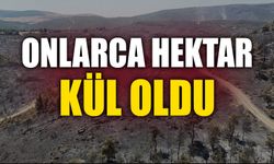 ONLARCA HEKTAR KÜL OLDU