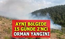 AYNI BÖLGEDE 15 GÜNDE 2'NCİ ORMAN YANGINI