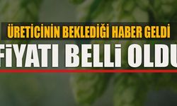 ÜRETİCİNİN BEKLEDİĞİ HABER GELDİ YENİ FİYATI BELLİ OLDU