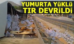 YUMURTA YÜKLÜ TIR DEVRİLDİ