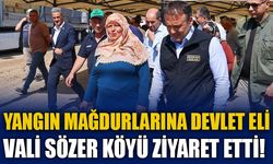YANGIN MAĞDURLARINA DEVLET ELİ, VALİ SÖZER KÖYÜ ZİYARET ETTİ