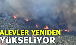 ALEVLER YENİDEN YÜKSELİYOR