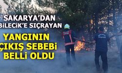 SAKARYA’DAN, BİLECİK’E SIÇRAYAN YANGININ ÇIKIŞ SEBEBİ BELLİ OLDU