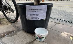 Hayvansever vatandaşın kibar uyarı yazısı görenleri gülümsetti