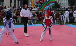 İlk kez düzenlenen 'Açık Hava Taekwondo Turnuvası'na ilgi