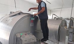 Gıda işletmelerine yönelik denetim
