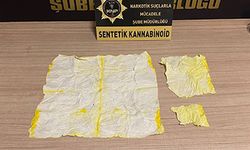 7 bin 952 içimlik bonzai ele geçirdi