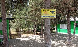 Tüm kırsal mahalleler güvenlik kamerası ile donatıldı
