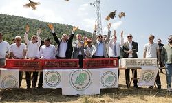 300 keklik doğaya salındı