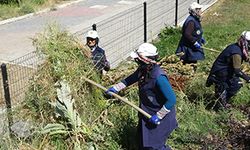 Kadın işçilerin sıcağa karşı mücadelesi