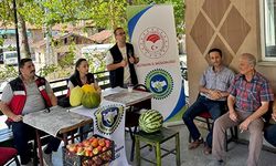 Doğal Emet Göncek köyü kavunu için 35 çiftçiye eğitim