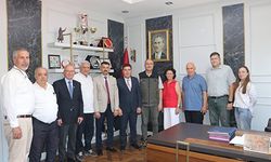 Yanan ormanların yerine yeniden ağaçlandırma çalışmaları yapılacak