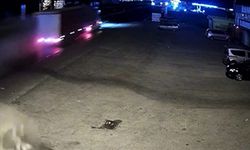 2 kişinin öldüğü kaza güvenlik kamerasında