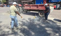 Bayırköy Belediyesi'nden yol ve çevre düzenleme atağı