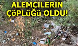 ALEMCİLERİN ÇÖPLÜĞÜ OLDU