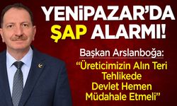 YENiPAZAR’DA ŞAP ALARMI!
