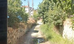 Bayırköy Belediyesi’nden Arazi Yollarına Erişimi Kolaylaştıran Çalışma