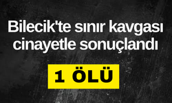 Bilecik'te sınır kavgası cinayetle sonuçlandı