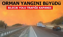 ORMAN YANGINI BÜYÜDÜ