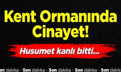 Kent Ormanında Cinayet: Husumet Kanlı Bitti
